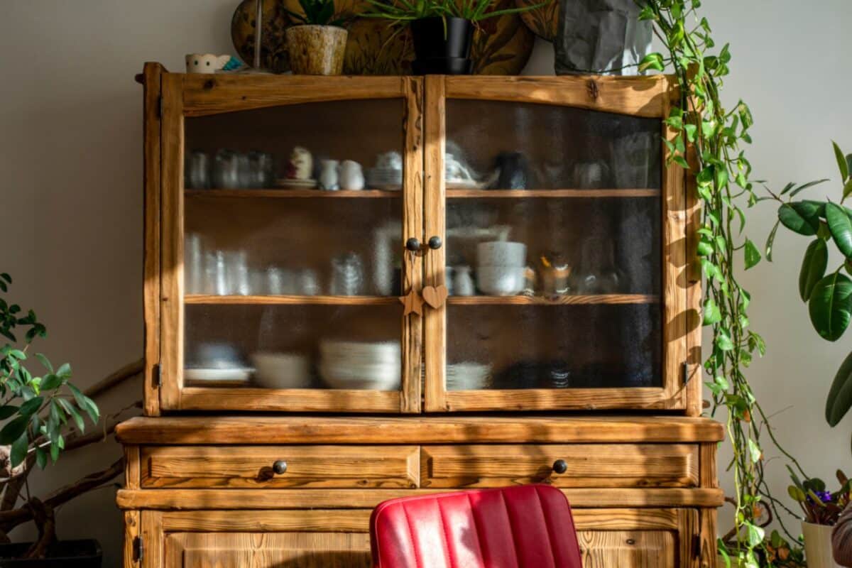 A wooden cabinet with green plants, creating a cozy atmosphere and symbolizing the family caregiving experience