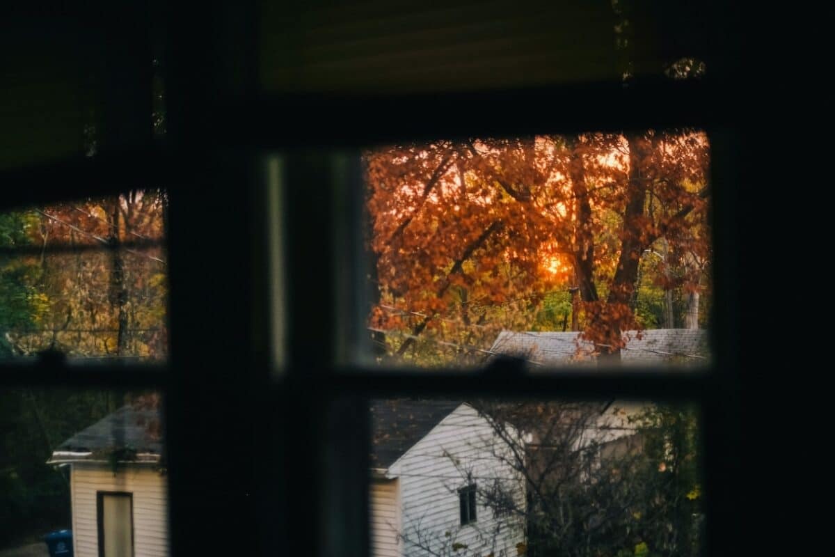 Trees and deserted buildings viewed through a shadowy window frame, suggesting the paranoia associated with paranoid personality disorder.